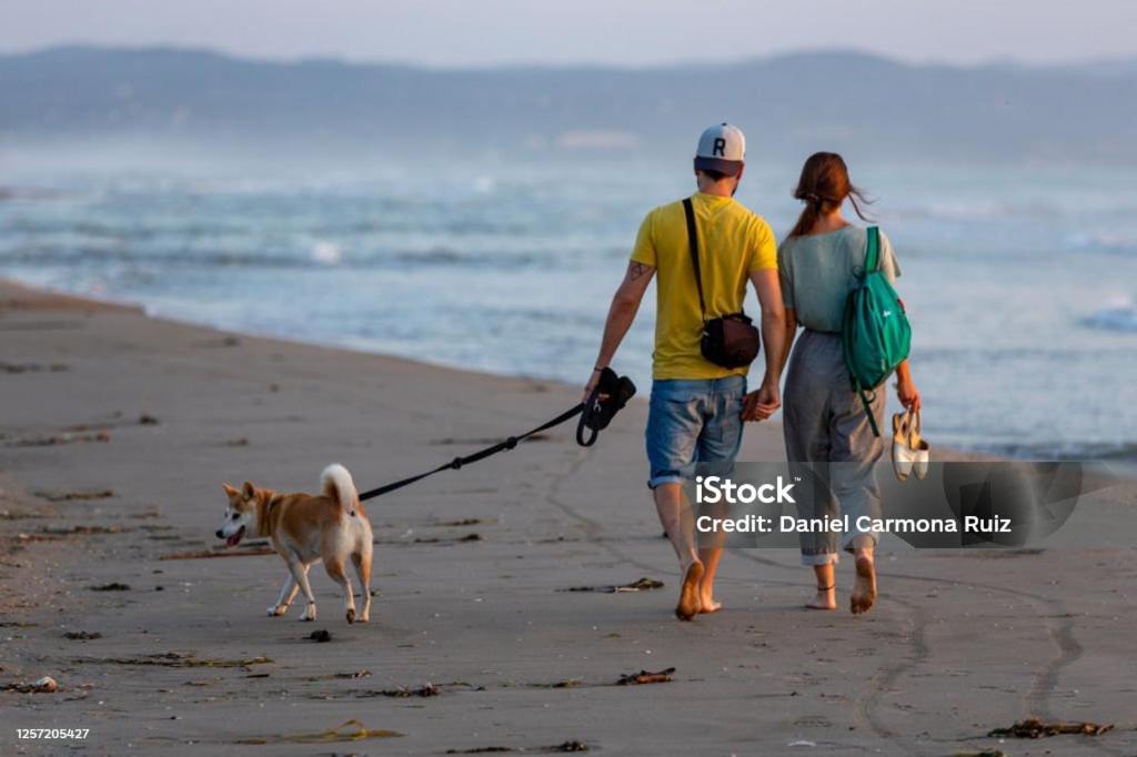 Deltafamily ¡ Barbacoa,Piscina, Wifi Chromecast !! Apartment Els Muntells ภายนอก รูปภาพ